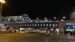 IMG_1519.jpeg