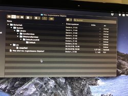 IMG_1337.JPG