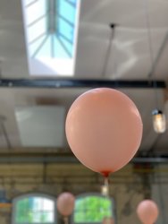 A272A76D-F39D-4D63-98E5-54069827B8DA.jpeg