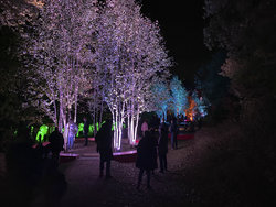 IMG_6222.jpg