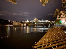 IMG_5290.JPG