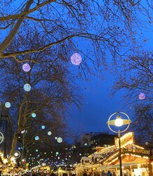 IMG_8884.jpeg