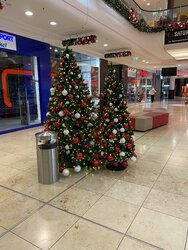 IMG_6754.JPG