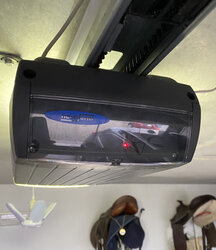 IMG_6337.jpeg