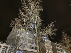 IMG_0514.JPG