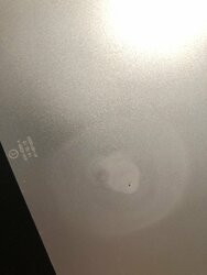 IMG_4892.jpeg