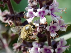 IMG_2283.jpeg