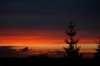 bearbeitetDSC_3667.jpg