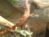 DSC00380.JPG