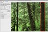 modal_liquidresize_pic2.jpg