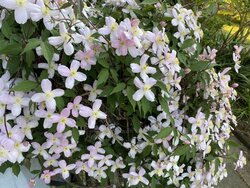 IMG_0578.JPG