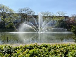 IMG_0574.JPG