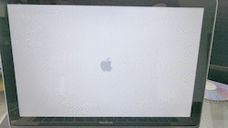 VID_20200518_105821.gif