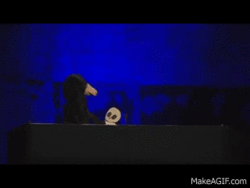 IMG_2375.gif