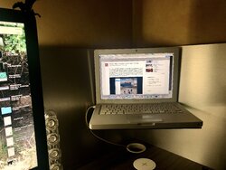 IMG_4411.jpeg