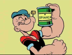 Bildschirmfoto 2020-06-26 um 17.11.36.png