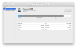 Festplatten Dienstprogramm Macintosh SSD.png