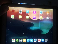 DAEC7093-E599-4B3A-B0ED-EDE7B7FCBA63.jpeg