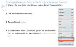 iPad Option Download entfernen.png