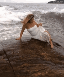 IMG_4082.gif