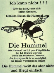 Die Hummel.jpg