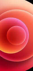 5F9891F5-F7BF-4A73-A0AA-79563693B166.jpeg