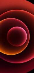 6113CC55-A693-4A19-B140-9CD6B319250F.jpeg