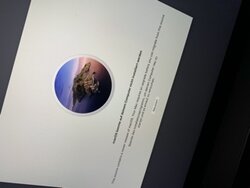 EE1E9616-D7FE-4D07-B3D7-D32B618D78BF.jpeg