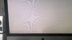 0344DA3C-DD45-4A1E-83F2-A913F909DA81.jpeg