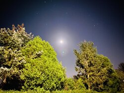 IMG_0992.JPG