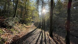 IMG_1349.JPG