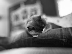 IMG_1305.JPG