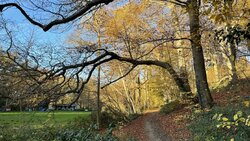 IMG_0310.JPEG