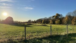 IMG_0314.JPEG