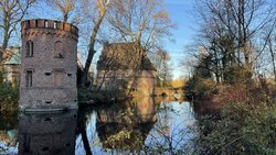 IMG_0315.JPEG