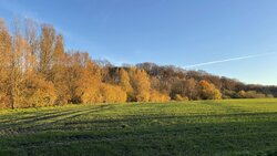 IMG_0320.JPEG