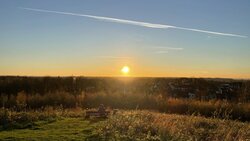 IMG_0321.JPEG