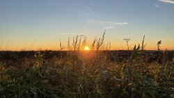 IMG_0329.JPEG