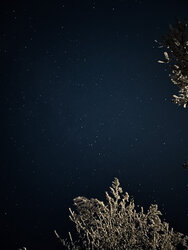 58FB766B-AB56-4FC7-92BA-D6647B87AFB2.jpeg