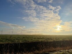 IMG_0170.jpeg