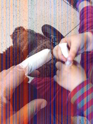1606829173951.jpeg