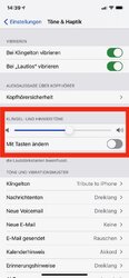 Bild-3.jpg