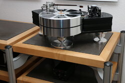 SperlingL-1.jpg
