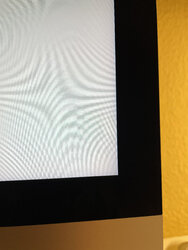 IMG_5942.jpeg