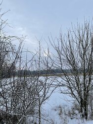 F00D3E2D-435C-4C1E-8A48-205EE22408D4.jpeg