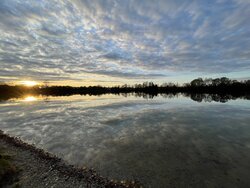93E813F4-F961-47B1-B167-0331C75356ED.jpeg