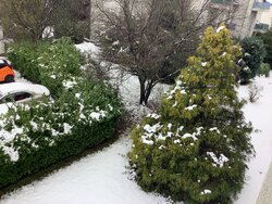 E5EBAD98-7392-4A07-A82C-13856BE24FA0.jpeg