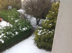 IMG_5908.JPG