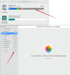 Macintosh HD - 56.82 GB von 1 TB verfügbar 2021-02-11 15-29-25.png