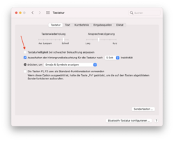 Systemeinstellung Tastatur.png